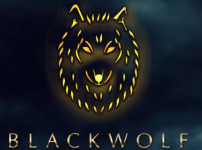 먹튀검증 [안전놀이터]  블랙울프  (black wolf)   bk-wff.com