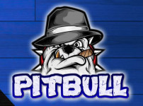 먹튀검증 [안전놀이터]  핏불  (PITBULL)     pit-09.com