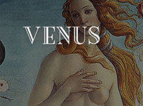 먹튀검증 [먹튀검증]  비너스  (VENUS)    vns-339.com