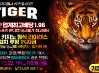 먹튀검증 토토-토토사이트-타이거-tiger