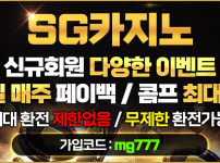 먹튀검증 카지노사이트 sg카지노