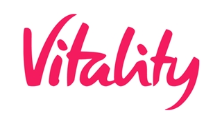 토토사이트 vitality 먹튀검증가이드