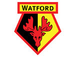 토토사이트 프리미어리그-왓포드-fc-watford 먹튀검증가이드